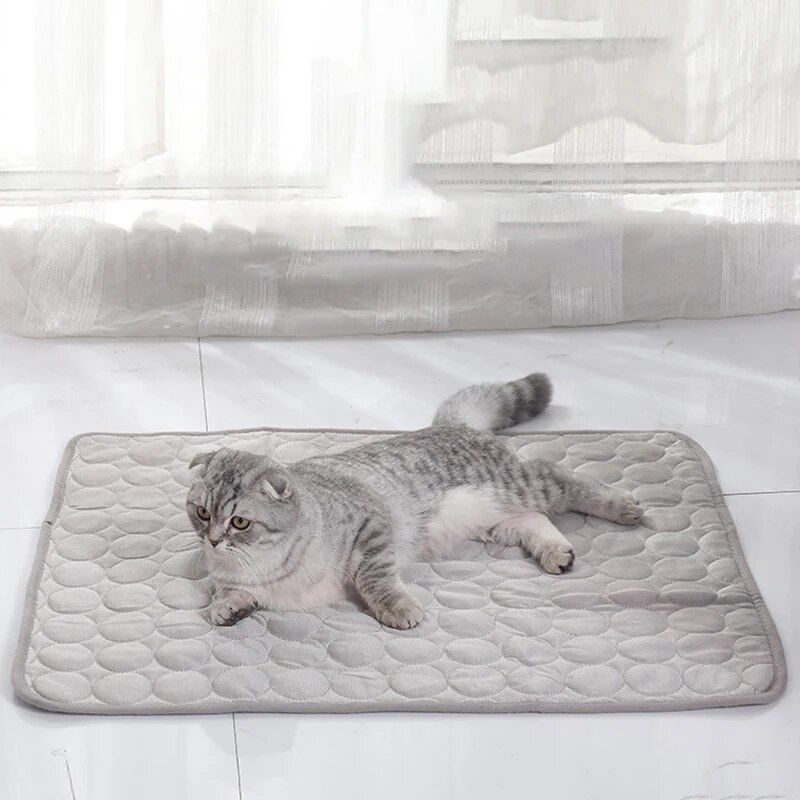 애완 동물 얼음 매트 여름 고양이 개 소파 둥지 침대  - Cooling Blanket Hot Sleepers 리뷰 및 가격