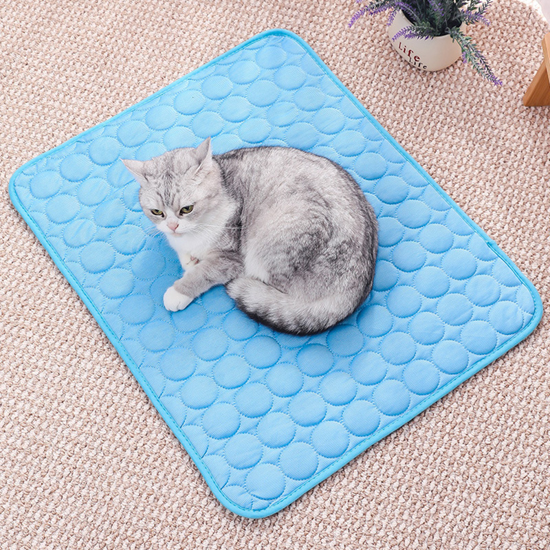 반려동물 아이스 매트 여름 고양이 강아지 소파 둥지 침 - Cooling Blanket Hot Sleepers 리뷰 및 가격