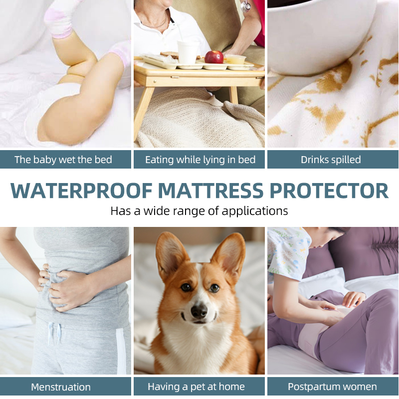 퀸 방수 매트리스 보호대, 애완동물, 노인, 요실금 환 - Waterproof Mattress Protector Breathable 리뷰 및 가격