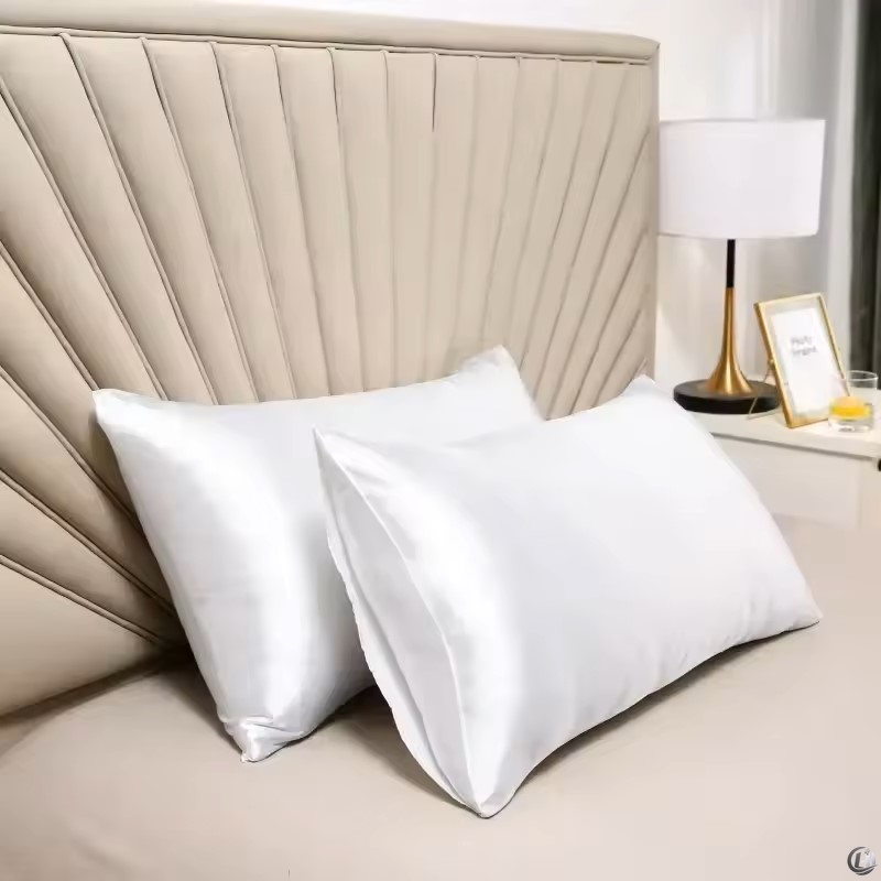100% 천연 뽕나무 실크 베개 커버, 진짜 실크로 모 - Satin Silk Pillowcase Hair Skin 리뷰 및 가격